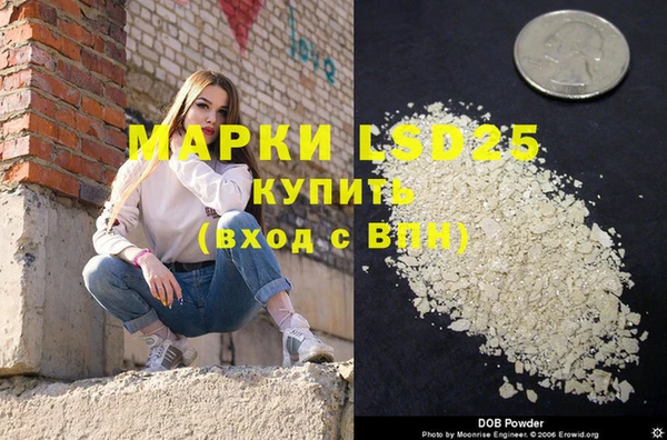 ГАЛЛЮЦИНОГЕННЫЕ ГРИБЫ Арсеньев