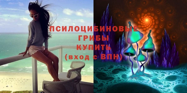 молекула духа Аркадак