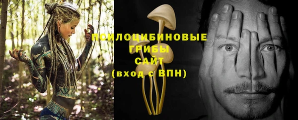 молекула духа Аркадак